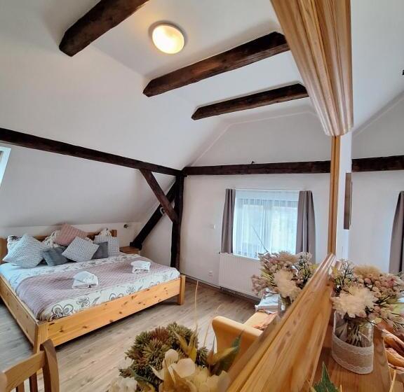 豪华三人间, Penzion V Suchu