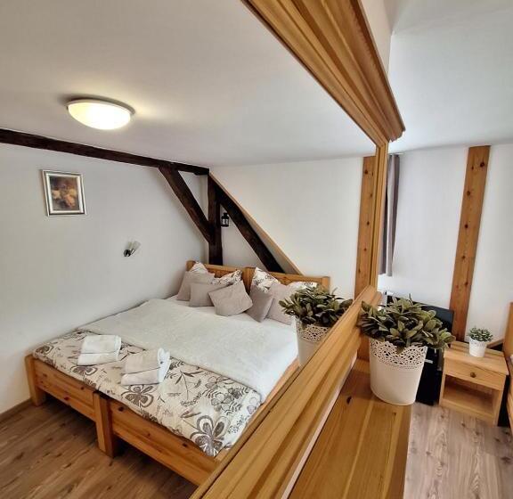 标准间, Penzion V Suchu