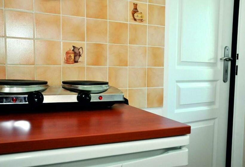 חדר סטודיו סטנדרד, Penzion Ve Vile