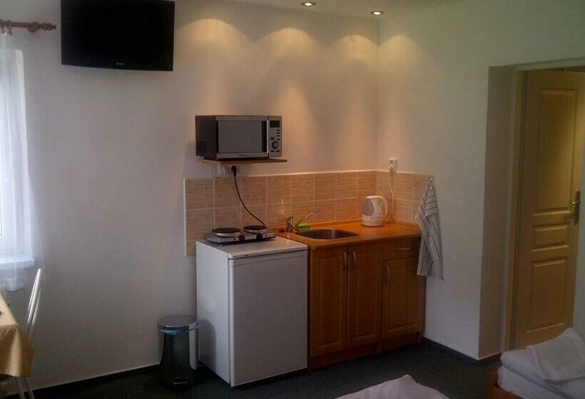 חדר סטודיו סטנדרד, Penzion Ve Vile