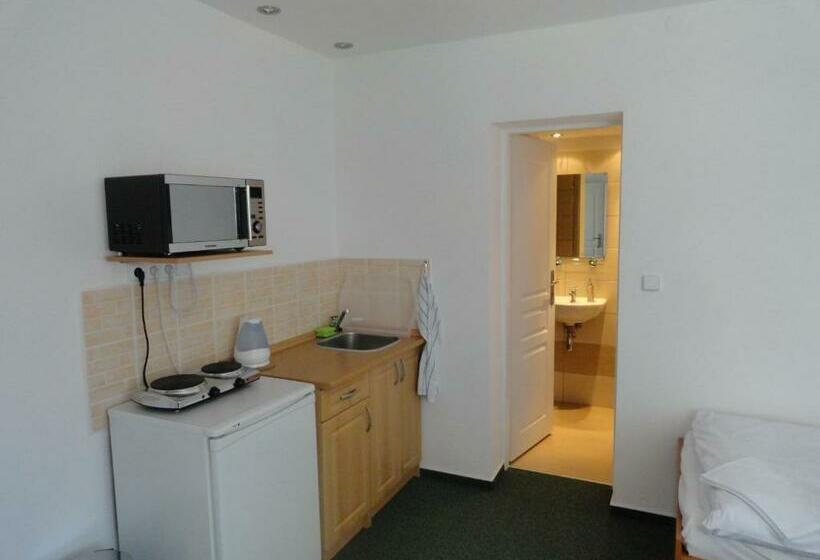 חדר סטודיו סטנדרד, Penzion Ve Vile