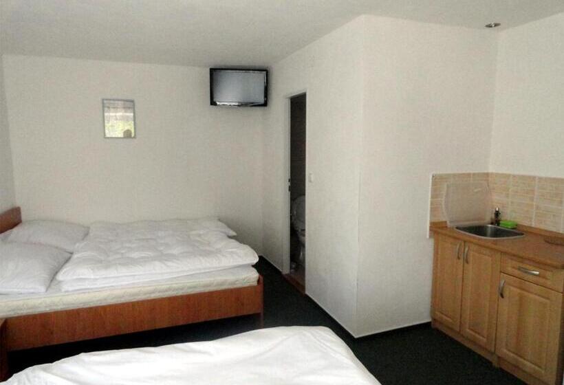 חדר סטודיו סטנדרד, Penzion Ve Vile