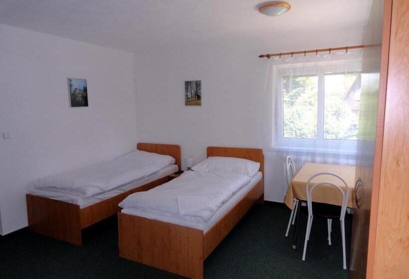 חדר סטודיו סטנדרד, Penzion Ve Vile