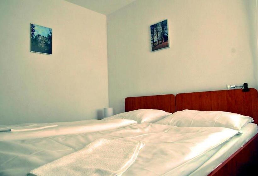 חדר סטודיו סטנדרד, Penzion Ve Vile