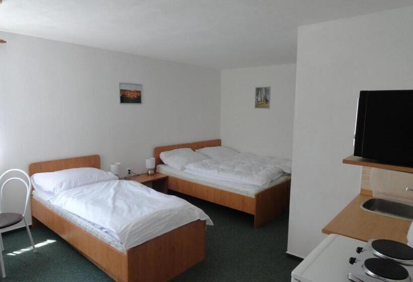 חדר סטודיו סטנדרד, Penzion Ve Vile