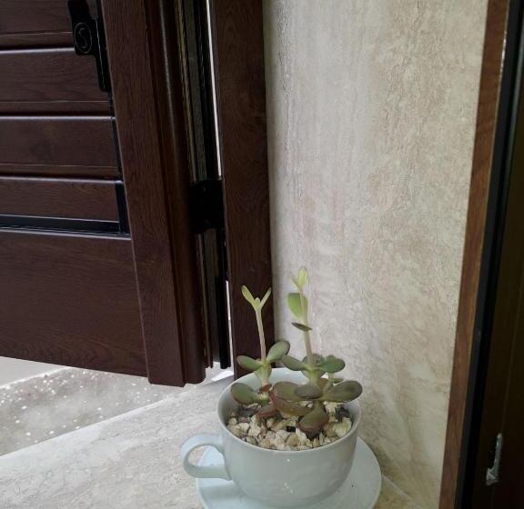 1 Szobás Ház, Via Roma 224