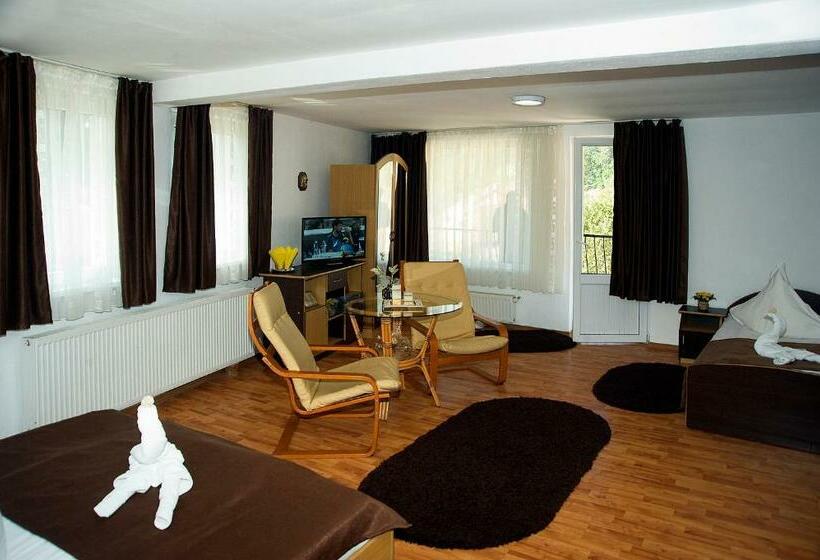 חדר סטנדרט לשלושה עם מרפסת, Pensiunea Carina