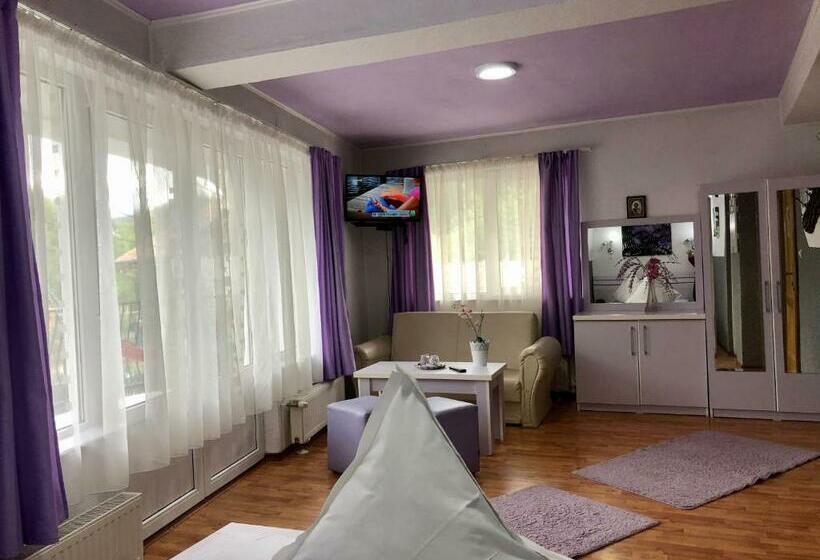 חדר סטנדרט עם מרפסת, Pensiunea Carina