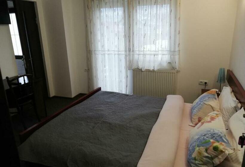 חדר סטנדרט, Pensiunea Veronica