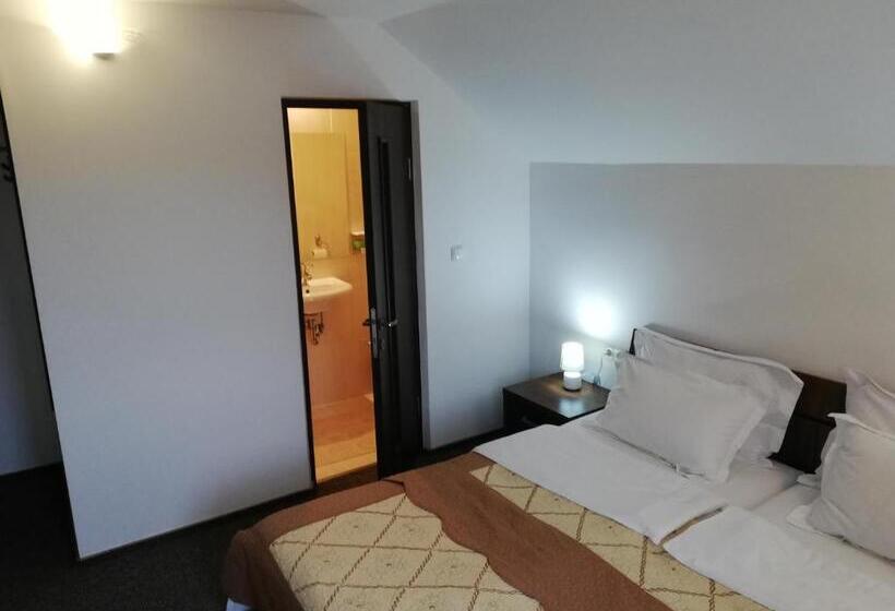 חדר סטנדרט, Pensiunea Veronica