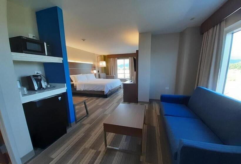 سوییت جونیور اجرایی, Holiday Inn Express Trincity, An Ihg