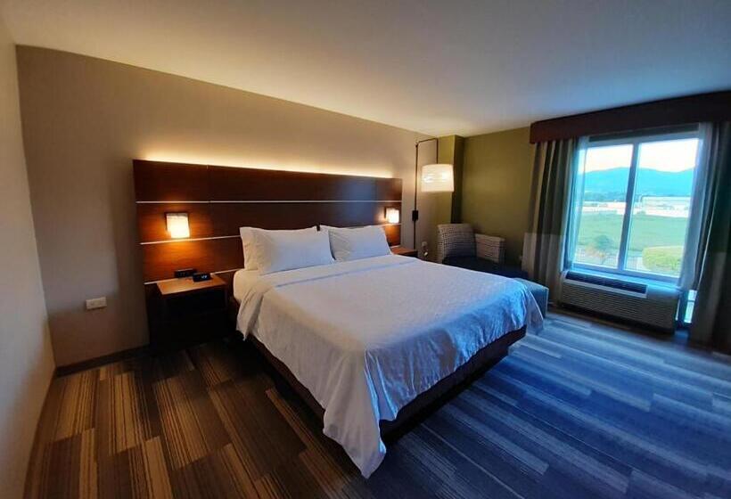 اتاق اجرایی با تخت بزرگ, Holiday Inn Express Trincity, An Ihg