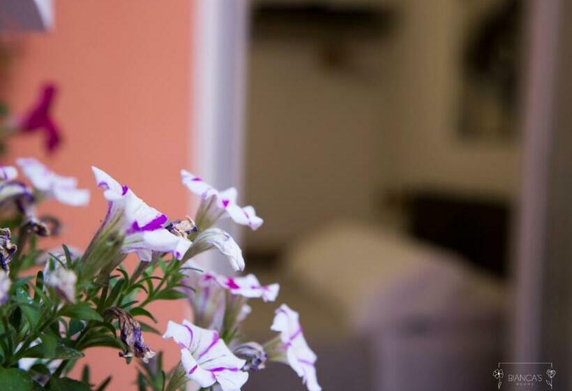 Номер Стандарт, Bianca's Rooms