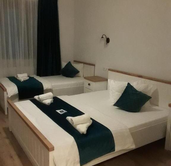 スタンダードトリプルルーム, Pensiunea Dunavis