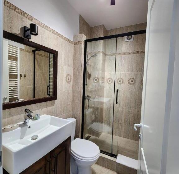 スタンダードシングルルーム, Pensiunea Dunavis