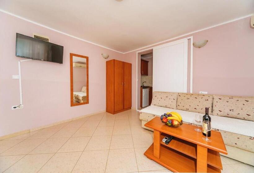 آپارتمان 1 خوابه, Guest House Edita