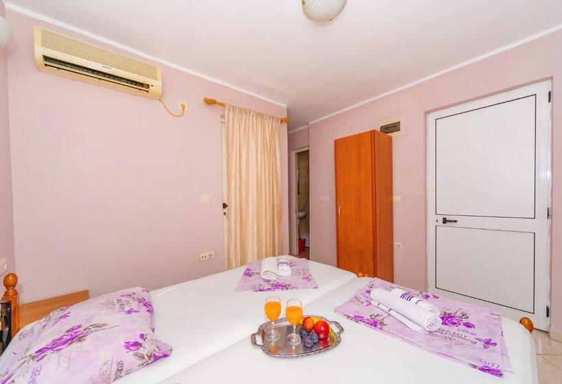 استودیوی استاندارد, Guest House Edita