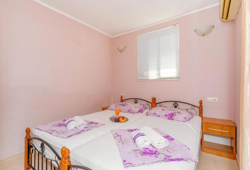 استودیوی استاندارد, Guest House Edita