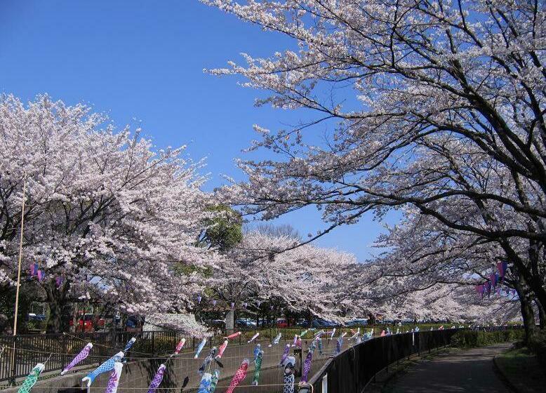 חדר סטנדרט יחיד, 館林グランドホテル