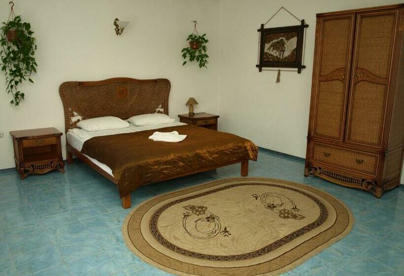 Chambre Standard, отель вышеград