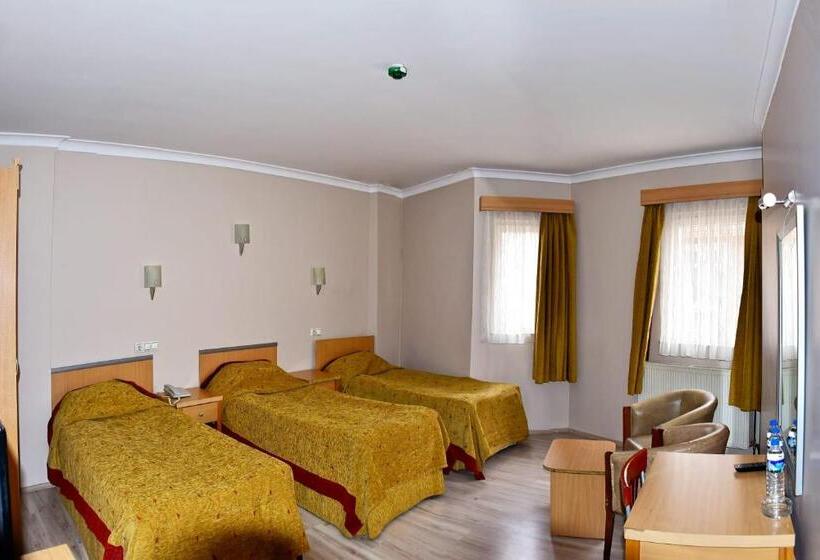 غرفة قياسية ثلاثية, Otel Ami̇ller