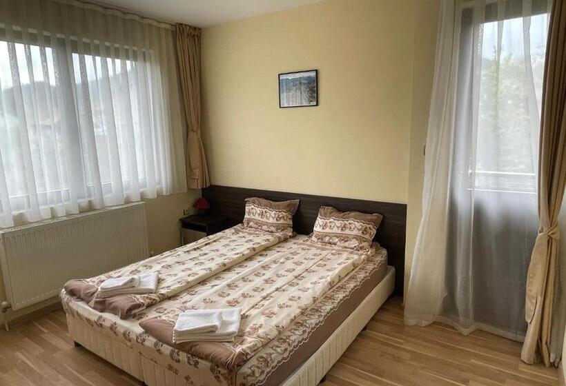 マウンテンビュースタンダードルーム, къща за гости александра