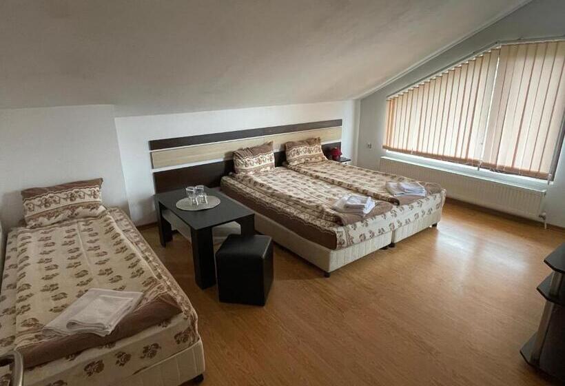 ビュー有りのスタンダードワンルーム, къща за гости александра