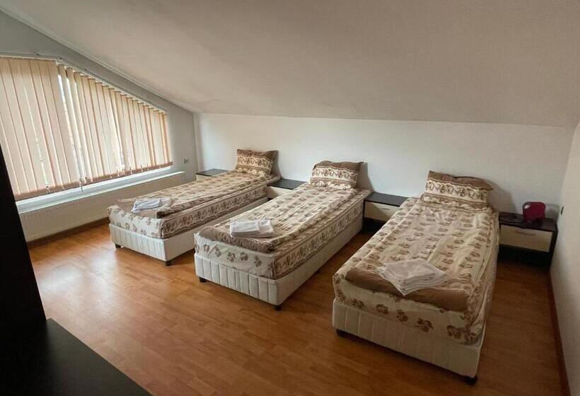 ビュー有りのスタンダードワンルーム, къща за гости александра