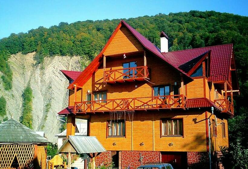 Economy Zimmer, у тараса і лесі