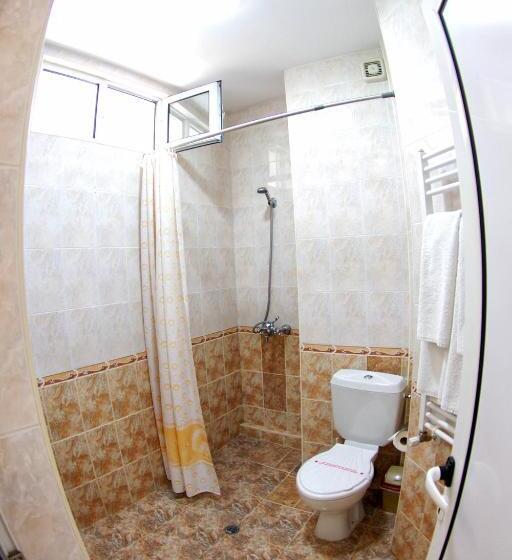 شقة غرفة واحدة, приятелската къща