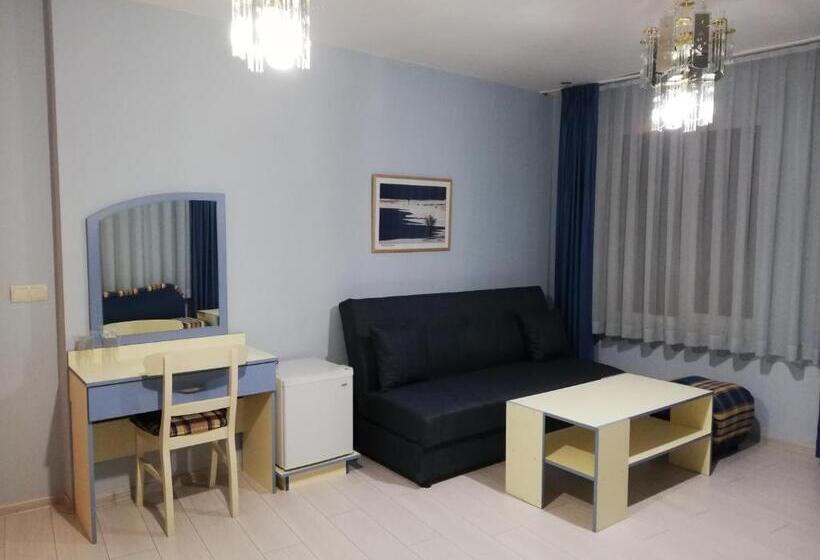 شقة غرفة واحدة, приятелската къща