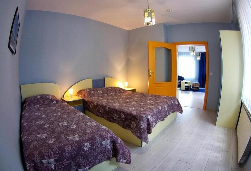 شقة غرفة واحدة, приятелската къща