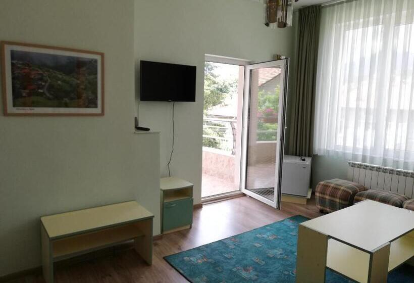 شقة غرفة نوم واحدة مزودة بشُرفة, приятелската къща