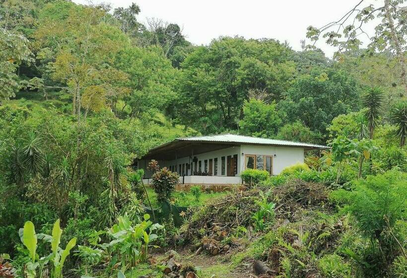 스탠다드 룸 호수 전망, La Ceiba Tree Lodge