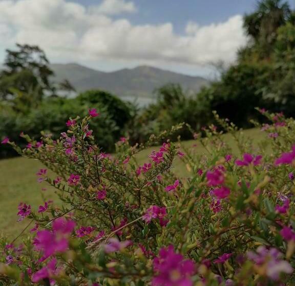 غرفة قياسية مطلّة علي البحيرة, La Ceiba Tree Lodge