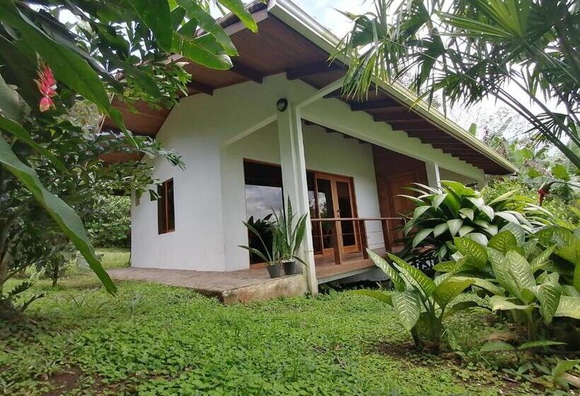 غرفة ديلوكس مطلة على البحيرة, La Ceiba Tree Lodge