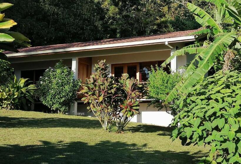 디럭스 룸 호수 전망, La Ceiba Tree Lodge