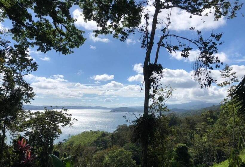 غرفة ديلوكس مطلة على البحيرة, La Ceiba Tree Lodge