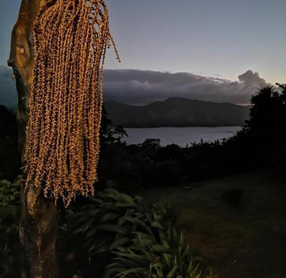 스탠다드 룸 호수 전망, La Ceiba Tree Lodge