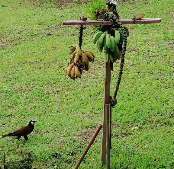 غرفة قياسية مطلّة علي البحيرة, La Ceiba Tree Lodge