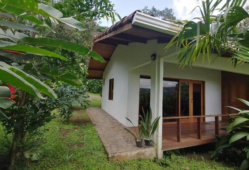 디럭스 룸 호수 전망, La Ceiba Tree Lodge