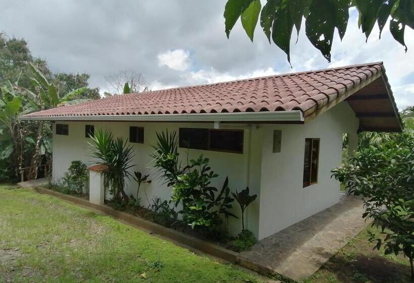 غرفة ديلوكس مطلة على البحيرة, La Ceiba Tree Lodge