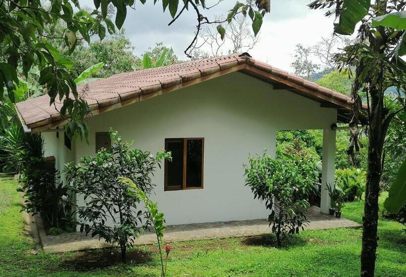 디럭스 룸 호수 전망, La Ceiba Tree Lodge