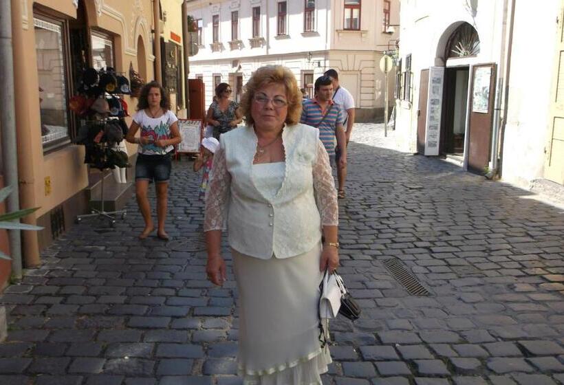 شقة غرفتين, Barokk Vendégház