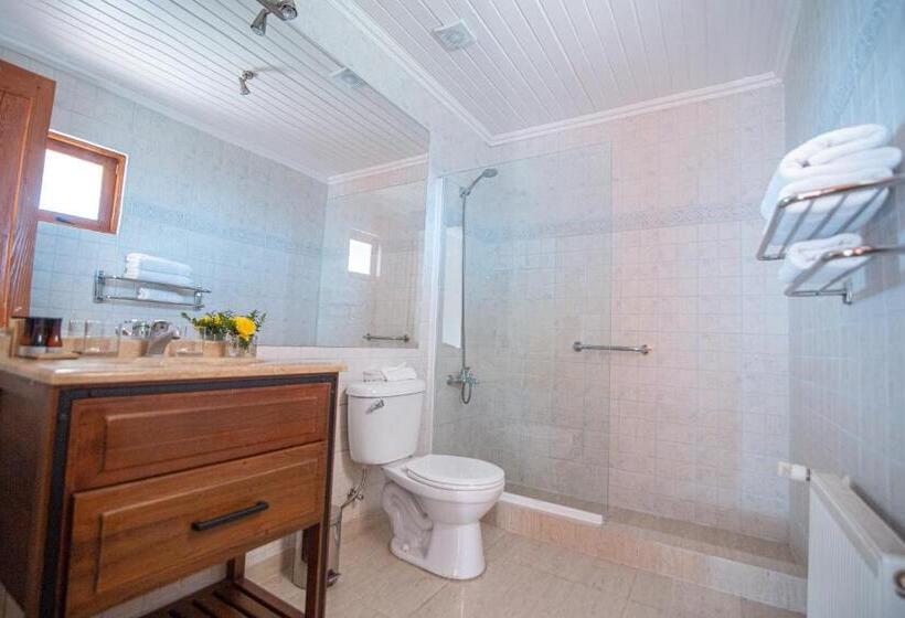 חדר דלוקס, Viña La Playa Hotel & Winery