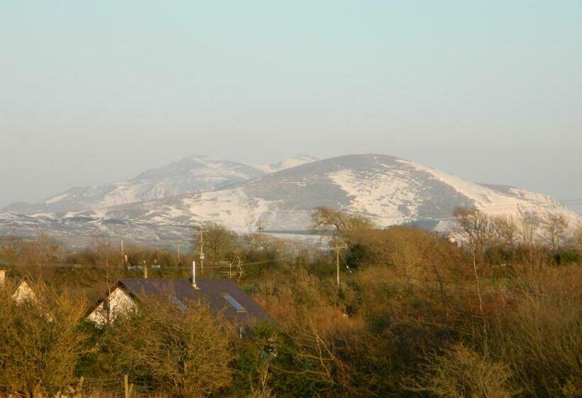 חדר סטנדרט עם נוף, Taldrwst Farmhouse