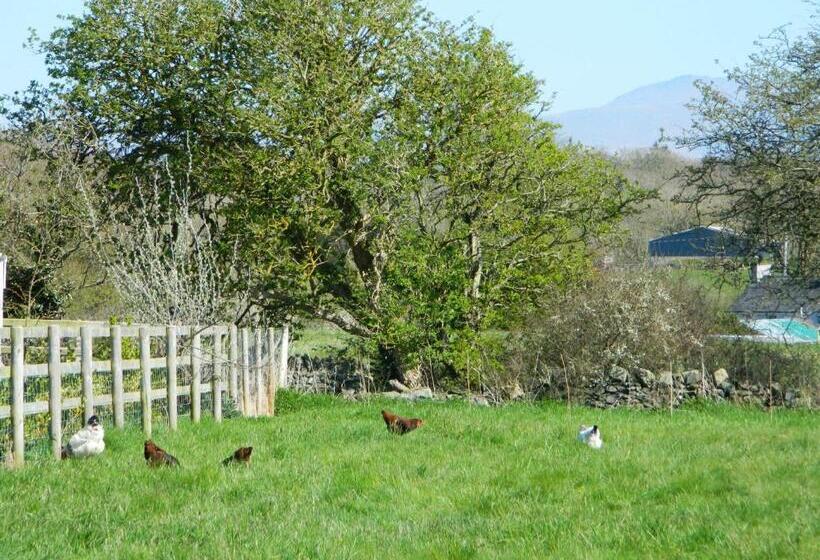 סוויטה משפחתית, Taldrwst Farmhouse