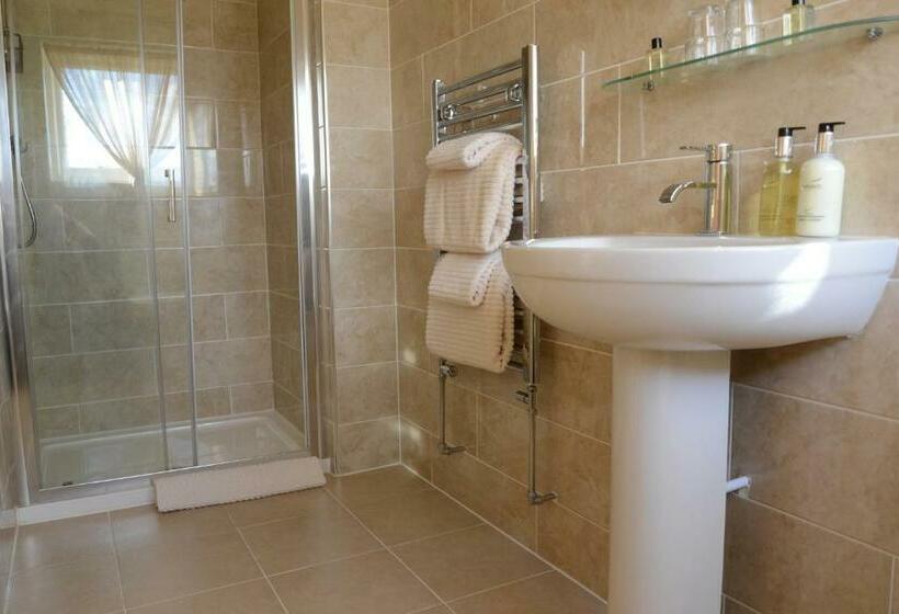 豪华房间, Gwynfryn Guest House