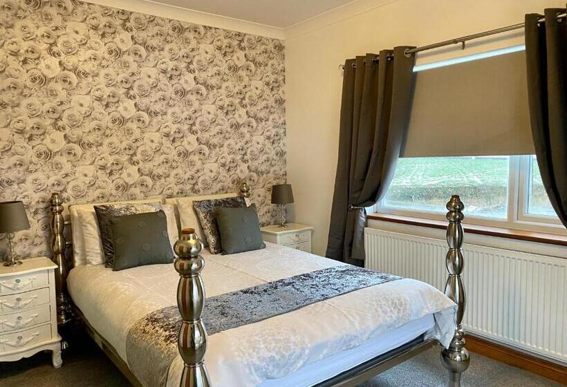 带大床的标准间, Gwynfryn Guest House