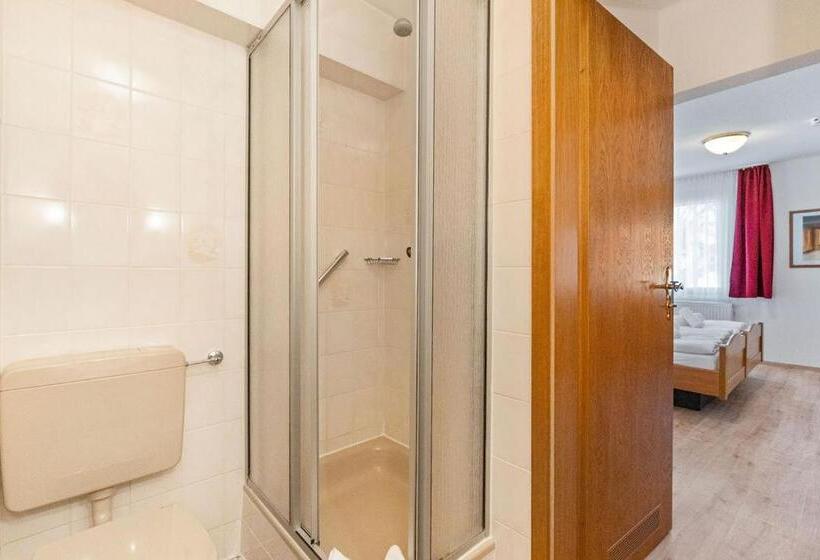 غرفة قياسية, Garni Traube